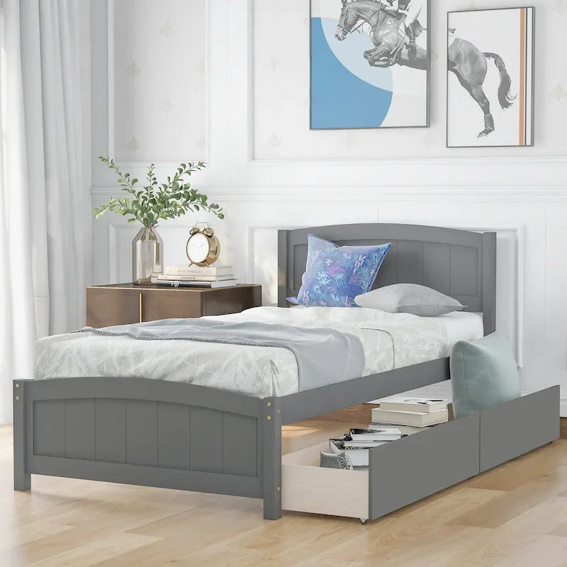 Twin Platform Bed with Two Drawers