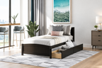 Twin Platform Bed with Two Drawers