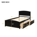 Twin Platform Bed with Two Drawers