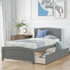 Twin Platform Bed with Two Drawers